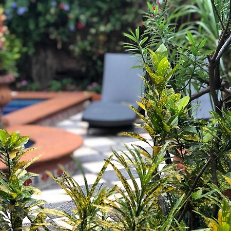 Casa Del Sol Inn Ajijic Dış mekan fotoğraf