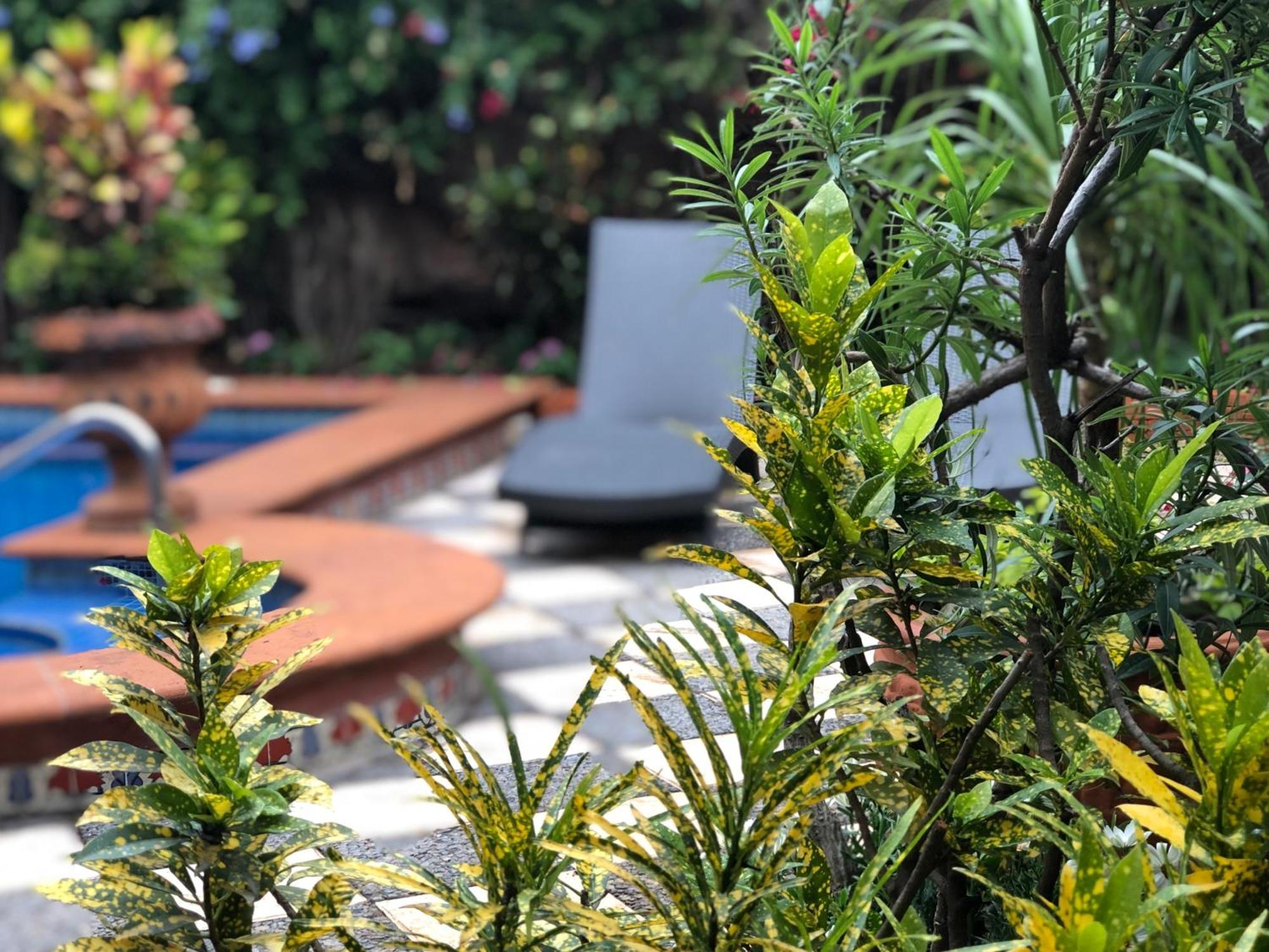 Casa Del Sol Inn Ajijic Dış mekan fotoğraf
